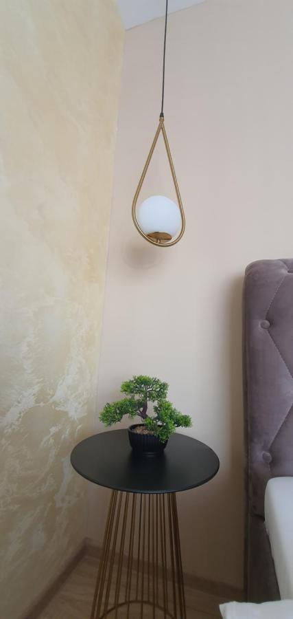 Apartment Alios Lux Брашов Екстериор снимка